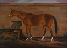 Portrait of Lexington, ca. 1857. Creator: Thomas J. Scott