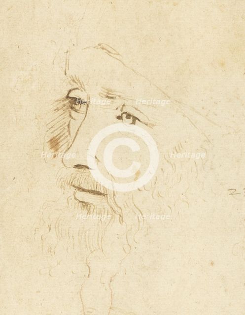 Portrait of Leonardo da Vinci, ca 1518. Creator: Leonardo da Vinci, (Circle of)  .