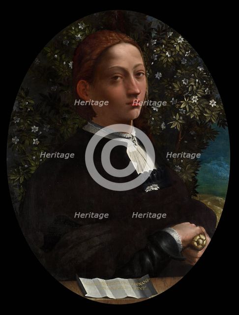 Portrait of Lucrezia Borgia (1480-1519), c. 1519.