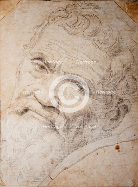 Portrait of Michelangelo Buonarroti (1475-1564), c. 1550.
