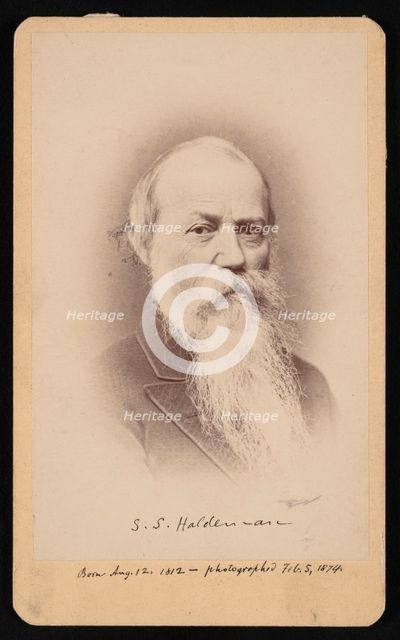 Portrait of Samuel Stehman Haldeman (1812-1880), February 5, 1874. Creator: FA Wenderoth & Co.