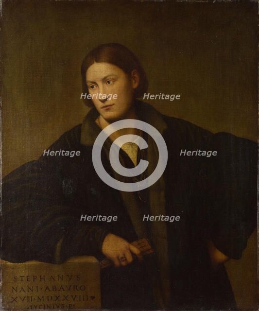 Portrait of Stefano Nani, 1528. Artist: Licinio, Bernardino (ca. 1489-ca. 1565)