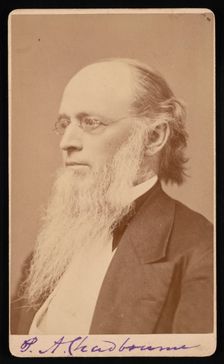 Portrait of Paul Ansel Chadbourne (1823-1883), Between 1872 and 1875. Creator: John Lyman Lovell