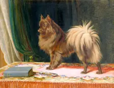 Portrait of Prairie Prince 1897. Artist: William Henry Hamilton Trood