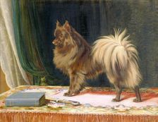 Portrait of Prairie Prince 1897. Artist: William Henry Hamilton Trood