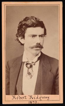 Portrait of Robert Ridgway (1850-1929), April 1873. Creator: Ulke Bros