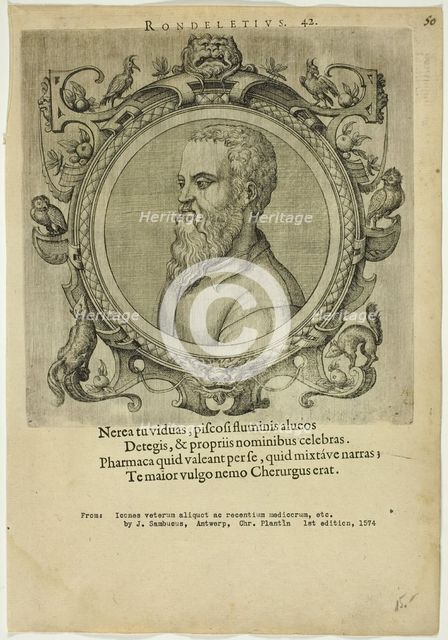 Portrait of Rondeletius, published 1574. Creators: Unknown, Johannes Sambucus.