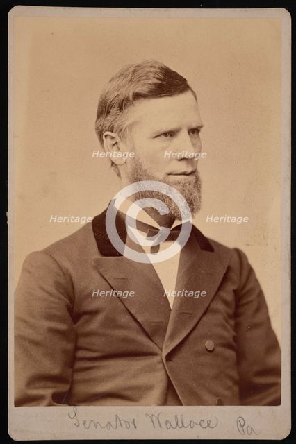 Portrait of William Andrew Wallace (1827-1896), Between 1876 and 1880. Creator: Samuel Montague Fassett.