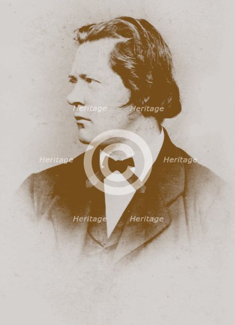 Portrait of the organist and composer Theodor Kirchner (1823-1903). Creator: Anonymous.
