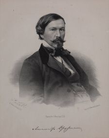 Portrait of the author Alexander Vasilyevich Druzhinin (1824-1864), 1860s