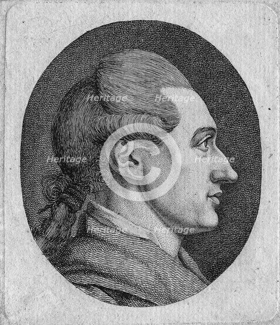 Portrait of the author Johann Wolfgang von Goethe (1749-1832). Artist: Stock, Dora (1759-1832)
