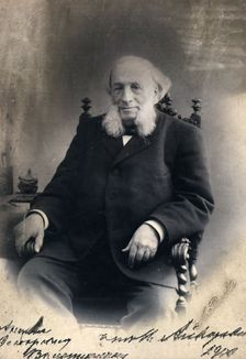 Portrait of the artist Ivan Aivazovsky (1817-1900), 1900