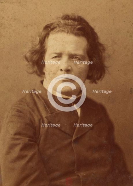 Portrait of the composer Anton Rubinstein (1829-1894).