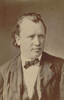 Portrait of the composer Johannes Brahms (1833-1897), 1875