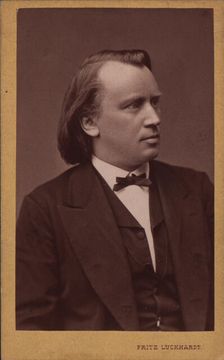 Portrait of the composer Johannes Brahms (1833-1897), c. 1875. Creator: Luckhardt, Fritz (1843-1894)