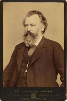 Portrait of the composer Johannes Brahms (1833-1897), c. 1870. Creator: Hanfstaengl, Erwin (1837-1905)