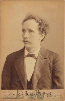 Portrait of the composer Richard Strauss (1864-1949), c1904. Creator: Meyer, Albert (1857-1924)
