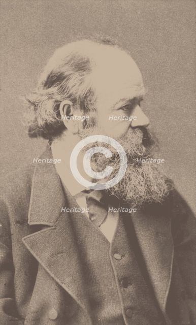 Portrait of the composer Robert von Hornstein (1833-1890). Creator: Hanfstaengl, Franz (1804-1877).
