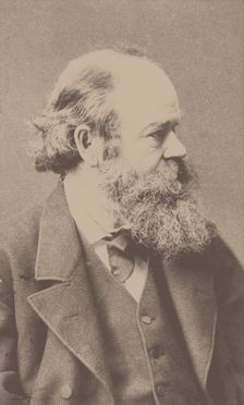 Portrait of the composer Robert von Hornstein (1833-1890). Creator: Hanfstaengl, Franz (1804-1877)
