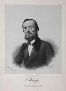 Portrait of the historian Nikolay Kostomarov (1817-1885)