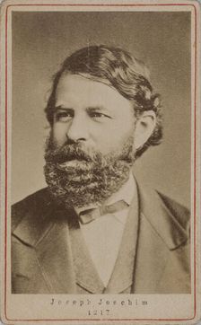 Portrait of the violinist and composer Joseph Joachim (1831-1907) , 1870s. Creator: Anonymous