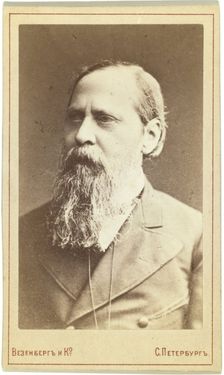 Portrait of the writer Mikhail Saltykov-Shchedrin (1826-1889)