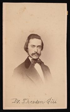Portrait of Theodore Nicholas Gill (1837-1914), Circa 1860s. Creator: Unknown
