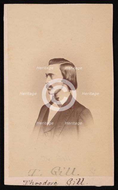 Portrait of Theodore Nicholas Gill (1837-1914), Between 1865 and 1870. Creators: Henry Ulke, Theodore Nicholas Gill.