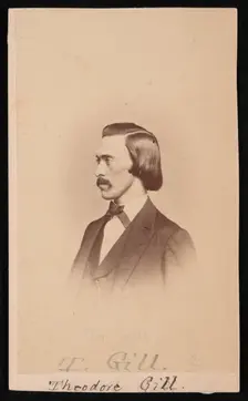 Portrait of Theodore Nicholas Gill (1837-1914), Between 1865 and 1870. Creators: Henry Ulke, Theodore Nicholas Gill