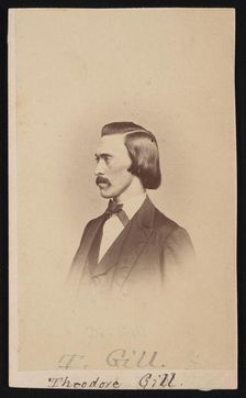 Portrait of Theodore Nicholas Gill (1837-1914), Between 1865 and 1870. Creators: Henry Ulke, Theodore Nicholas Gill