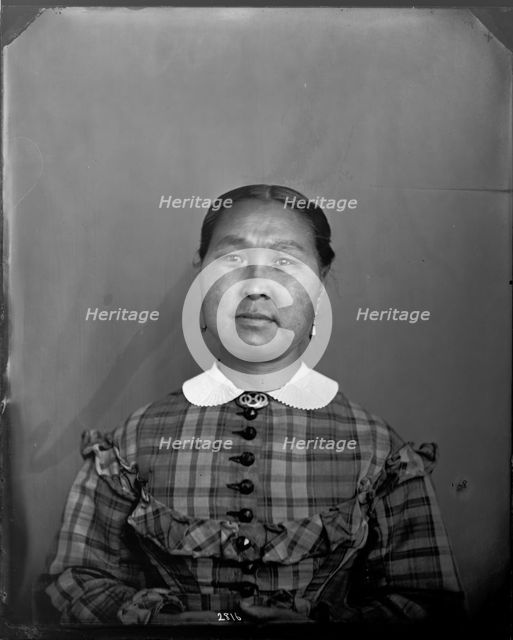 Portrait of Unidentified Woman, 1880s. Creator: United States National Museum Photographic Laboratory.