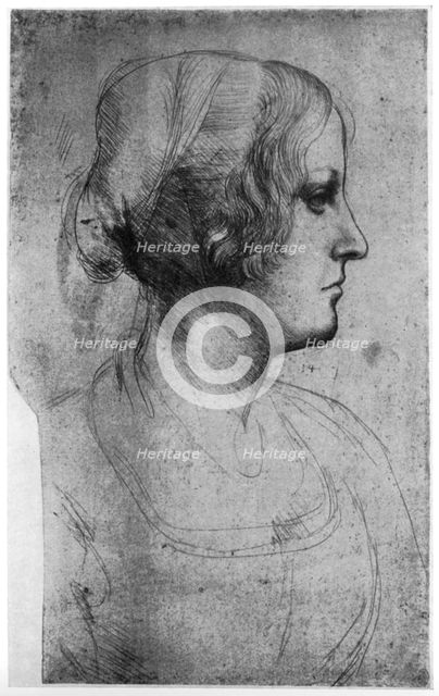 Portrait study of a young girl's head, 15th century(?) (1954).Artist: Leonardo da Vinci
