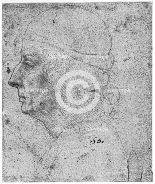 Portrait study of a man, 15th century(?) (1954).Artist: Leonardo da Vinci