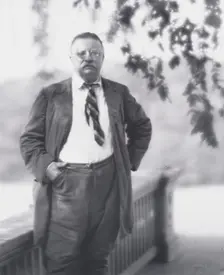 Portrait photograph of Theodore Roosevelt, 1916 Sept. 8. Creator: Arnold Genthe
