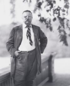Portrait photograph of Theodore Roosevelt, 1916 Sept. 8. Creator: Arnold Genthe