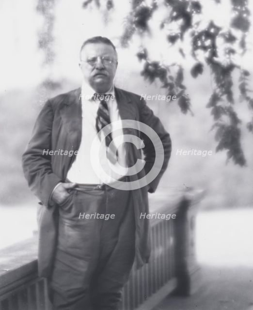 Portrait photograph of Theodore Roosevelt, 1916 Sept. 8. Creator: Arnold Genthe.