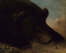 Portraits of a Grizzly Bear and Mouse, Life Size, 1846-1848. Creator: George Catlin