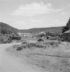 Possibly: Company houses of closed mill..., Malone, Grays Harbor County, Western Washington, 1939. Creator: Dorothea Lange