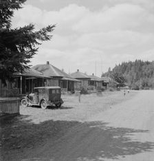 Possibly: Company houses of closed mill..., Malone, Grays Harbor County, Western Washington, 1939. Creator: Dorothea Lange