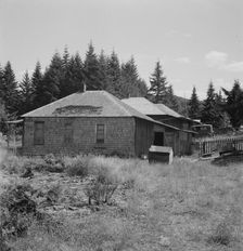 Possibly: Company houses of closed mill..., Malone, Grays Harbor County, Western Washington, 1939. Creator: Dorothea Lange