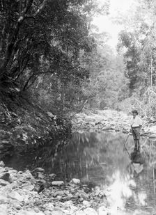 Possibly Coomera River - Upper Commera (Frederick John Walker), c1880s. Creator: Robert Augustus Henry L'Estrange