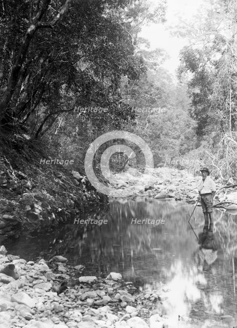 Possibly Coomera River - Upper Commera (Frederick John Walker), c1880s. Creator: Robert Augustus Henry L'Estrange.