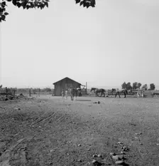 Possibly: Chris Adolf, his team, and...children on their new farm, Washington, Yakima Valley, 1939. Creator: Dorothea Lange