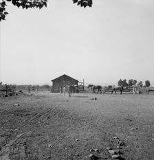 Possibly: Chris Adolf, his team, and...children on their new farm, Washington, Yakima Valley, 1939. Creator: Dorothea Lange