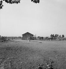 Possibly: Chris Adolf, his team, and...children on their new farm, Washington, Yakima Valley, 1939. Creator: Dorothea Lange