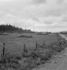 Possibly: Another cut-over farm located across the road from..., Michigan Hill, Washington, 1939. Creator: Dorothea Lange