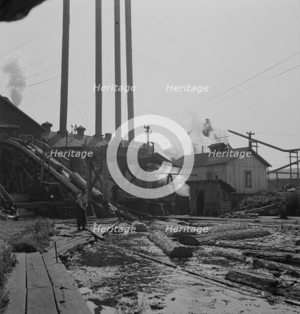 Possibly: At Pelican Bay Lumber Company mill, near Klamath Falls, Klamath County, Oregon, 1939. Creator: Dorothea Lange.