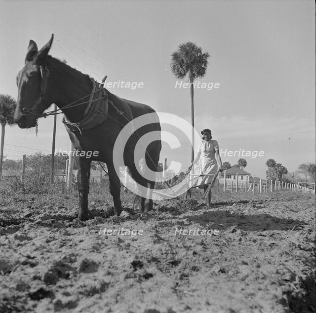 Possibly: Bethune-Cookman College, Daytona Beach, Florida, 1943. Creator: Gordon Parks.
