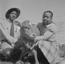 Possibly: Bethune-Cookman College, Daytona Beach, Florida, 1943. Creator: Gordon Parks