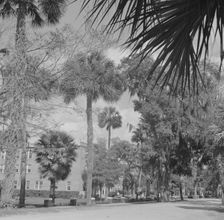 Possibly: Bethune-Cookman College, Daytona Beach, Florida, 1943. Creator: Gordon Parks